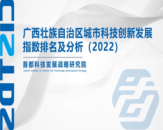 污黄片网站免费【成果发布】广西壮族自治区城市科技创新发展指数排名及分析（2022）